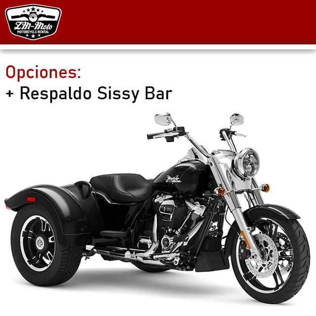 Modelo Harley-Davidson Freewheeler 2022